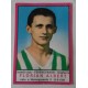 Figurina  PANINI   - ALBERT FLORIAN  (calcio Internazionale  1967-68 /Ungheria)