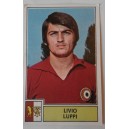 Figurina  PANINI   -  LIVIO LUPPI   TORINO (serie A 1971 - 72  / NUOVA)