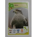 Figurina  COOP  -  AVVENTURE NELLA NATURA   - ASTORE  n. 27  (NUOVA)