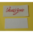 Set 2 adesivi  cantante   "David BOWIE"  