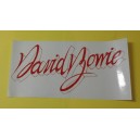 Adesivo    "David BOWIE"  (26.0  X  13.0  cm. / anni '80 / VINTAGE)