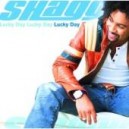SHAGGY - lucky day