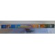 Alla Ricerca della Valle Incantata  - IL GIORNO DEI RETTILI VOLANTI (dvd  ex noleggio)