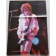 Bob DYLAN -  AT BUDOKAN  /  Poster   come  nuovo   (84,0   X   59,0 cm. circa)
