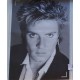 DURAN DURAN /  5  Foto Ritratti promo nuovi  / anni '80   ( 30,0  X  42,0  cm. )