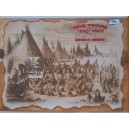 NEIL YOUNG  BROKEN ARROW   Poster  promo  album   1996 -  Nuovo  -  84 X 59 cm.