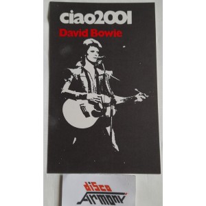 DAVID BOWIE   Adesivo   VINTAGE  originale  da collezione  13 x 8 / come da foto