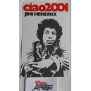 JIMI HENDRIX   Adesivo  VINTAGE  originale  da collezione  13 x 8 come da foto