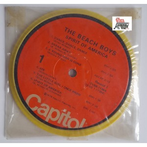 GOMMINA  a forma di VINILE 33-1/3  THE BEACH  BOYS  Nuovo con custodia originale