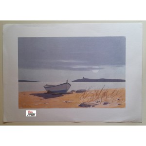 A. MOLTENI -   acquerello    stampa       (34,0   X  24,0  cm. )   Nuovo