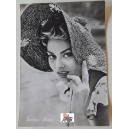 SOPHIA LOREN - Foto - Cartolina in B/N (nuova )