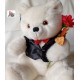 ORSETTO Applause in frac e rosa  rossa Peluche   anni  '80.  USATO  VINTAGE