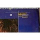 TINA  TURNER   calendario fotografico da muro    1995   (Nuovo  sigillato )