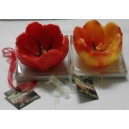 Set  CANDELE  sagomate  Fiore     (con scatola regalo)