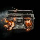 GREEN  DAY  - Revolution Radio