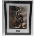 Batman Vs Superman - Wonder Woman
