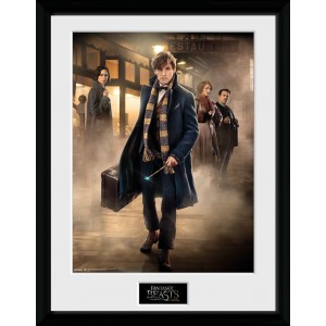 Fantastic Beasts - Group Stand  (Animali Fantastici /  Stampa con Cornice, 30 x 40 cm