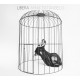 TATANGELO Anna - Libera