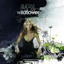 CROW Sheryl - Wild flower