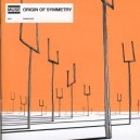 MUSE -   Origin of Symmetry