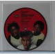 The FUN  BOY THREE  ‎– The Telephone Always Rings   (Picture-disc)