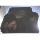 Vetrofania  pubblicitaria  del Film   "NEW MOON " ( saga Twilight)